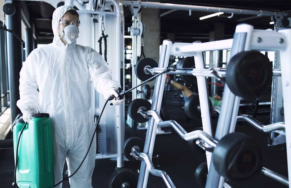disinfecting fumigation services pietermaritzburg