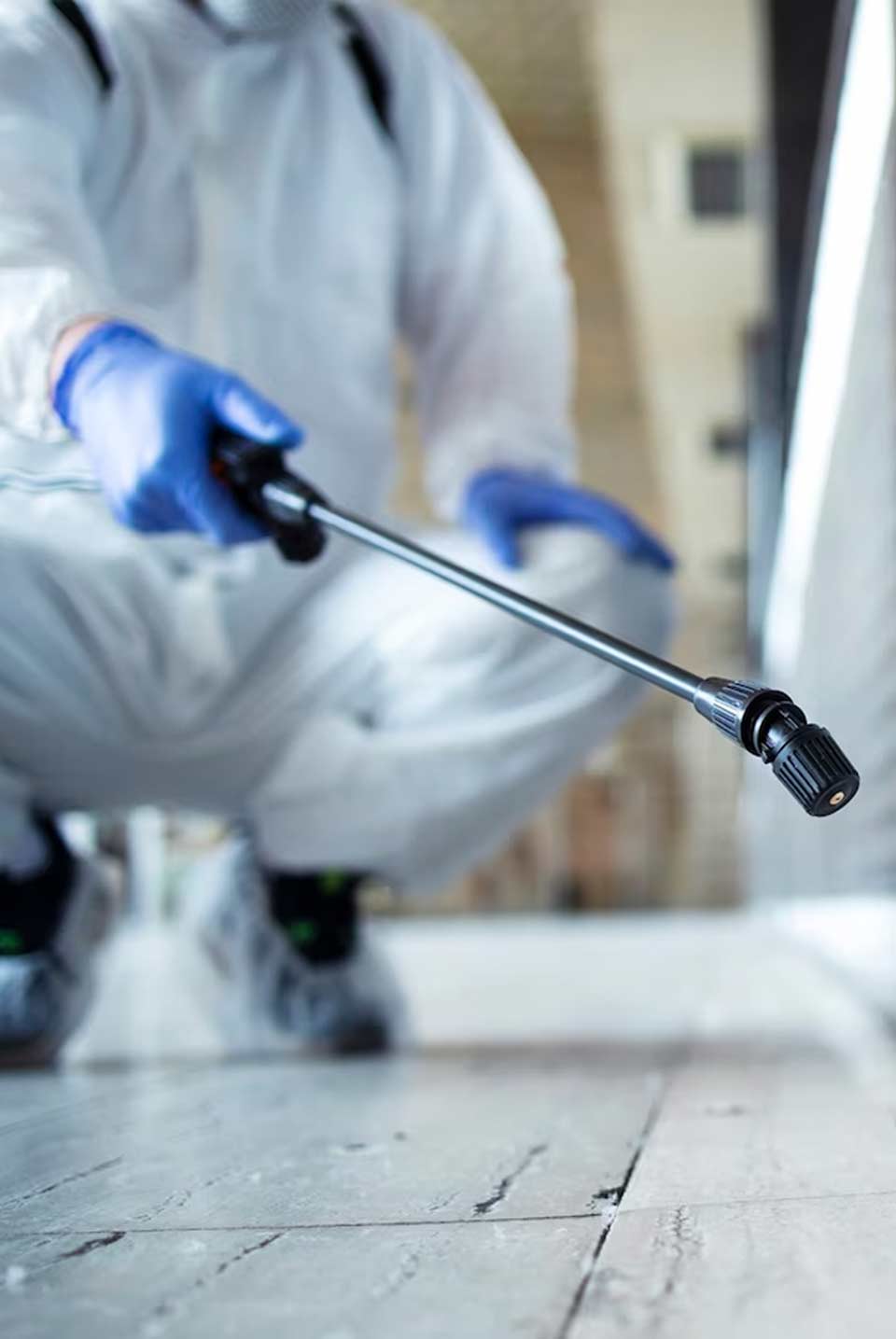 disinfecting fumigation services pietermaritzburg